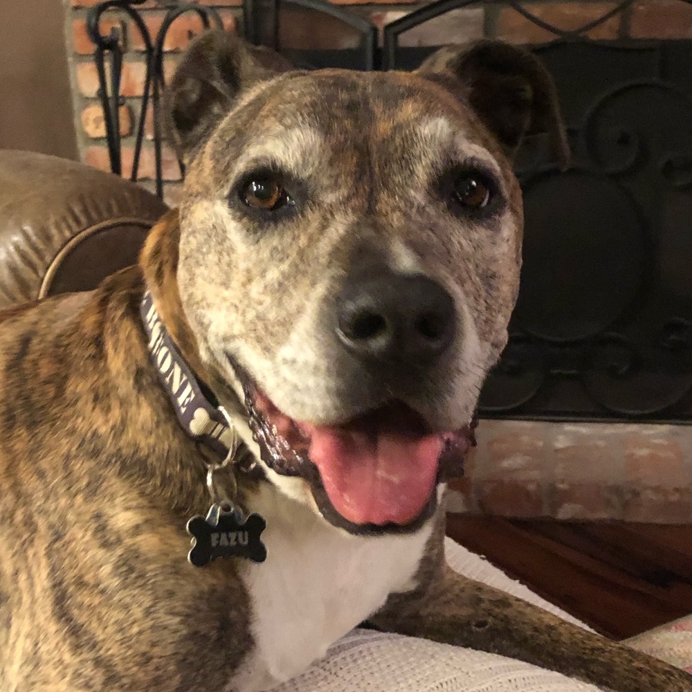 Meet your Posher, Sherri